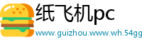 纸飞机pc
